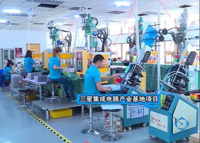 市領導調研文登，走訪家電企業共話發展